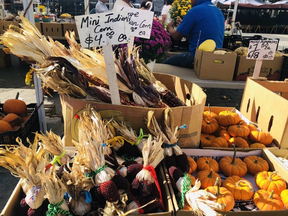 IMG_0554.jpg?type=w966