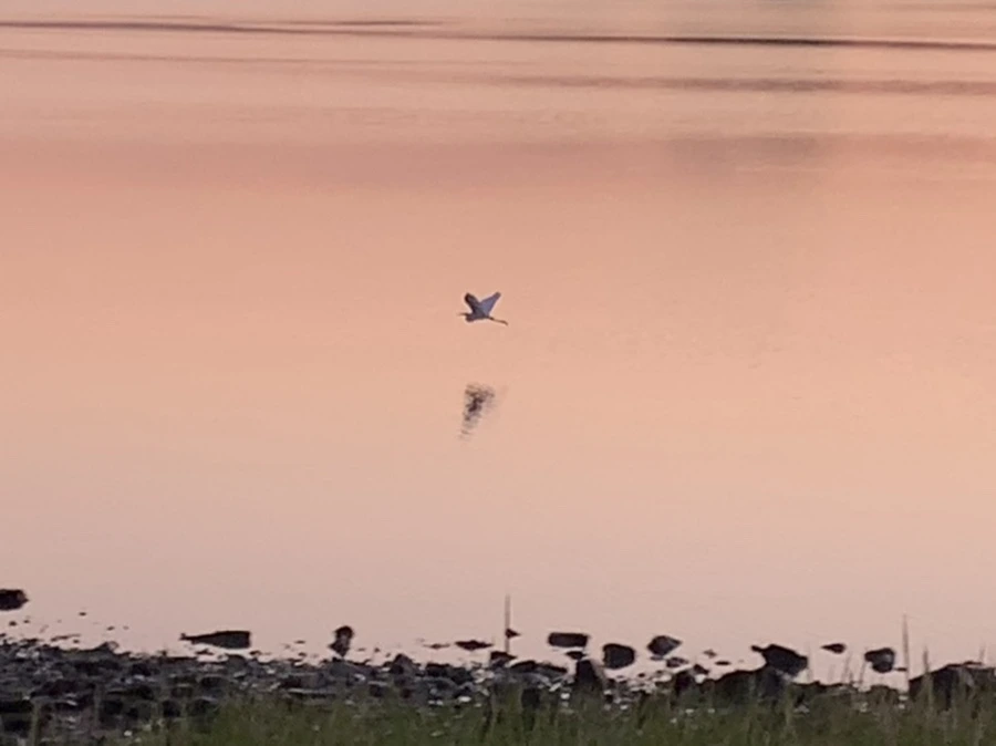 IMG_7106.jpg?type=w966