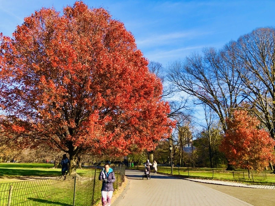 c4it9FnpKnpAS2fHLEQWs-sIuZM