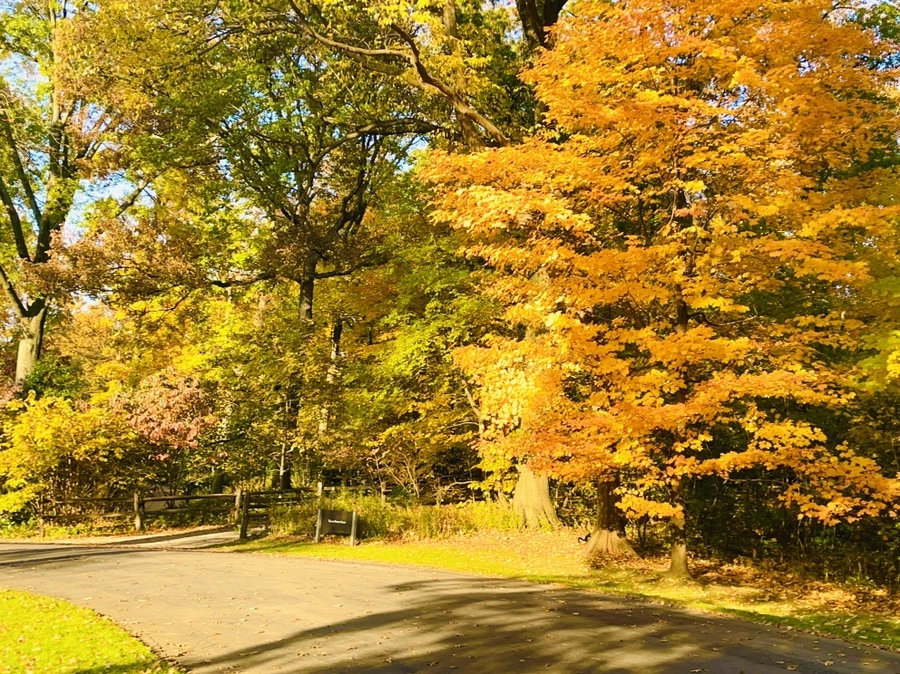 IMG_1828.JPG?type=w966