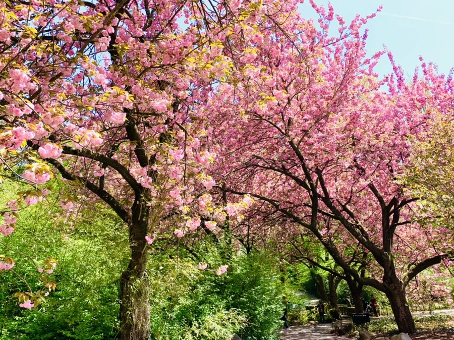 IMG_6409.jpg?type=w966