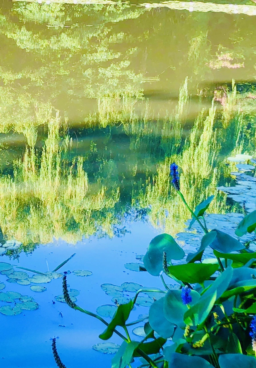 IMG_3887.jpg?type=w966