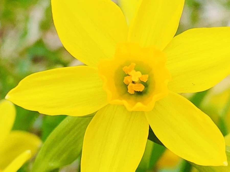 IMG_3482.jpg?type=w966