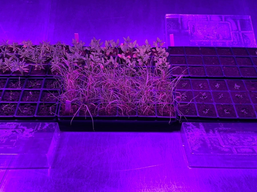 IMG_6787.jpg?type=w966