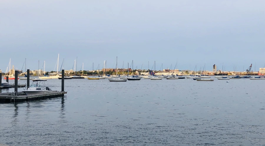 IMG_0629.jpg?type=w966