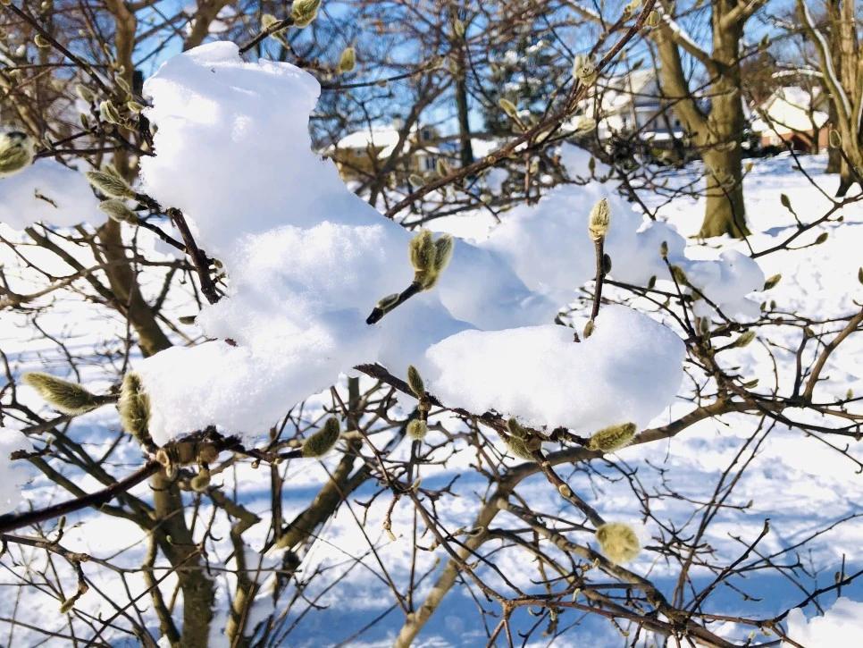 IMG_1358.jpg?type=w966