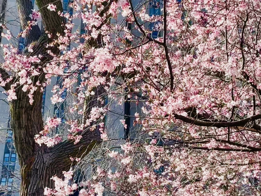 IMG_6354.jpg?type=w966