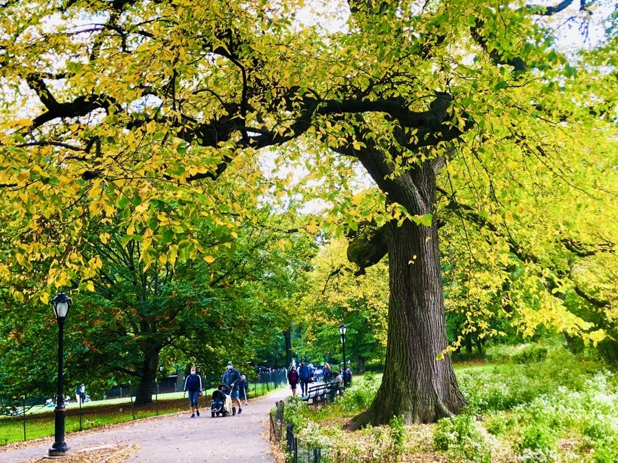 IMG_1920.jpg?type=w966