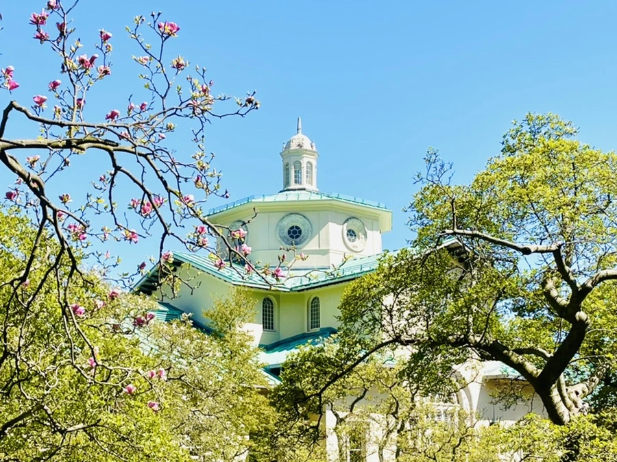 IMG_2033.jpg?type=w966