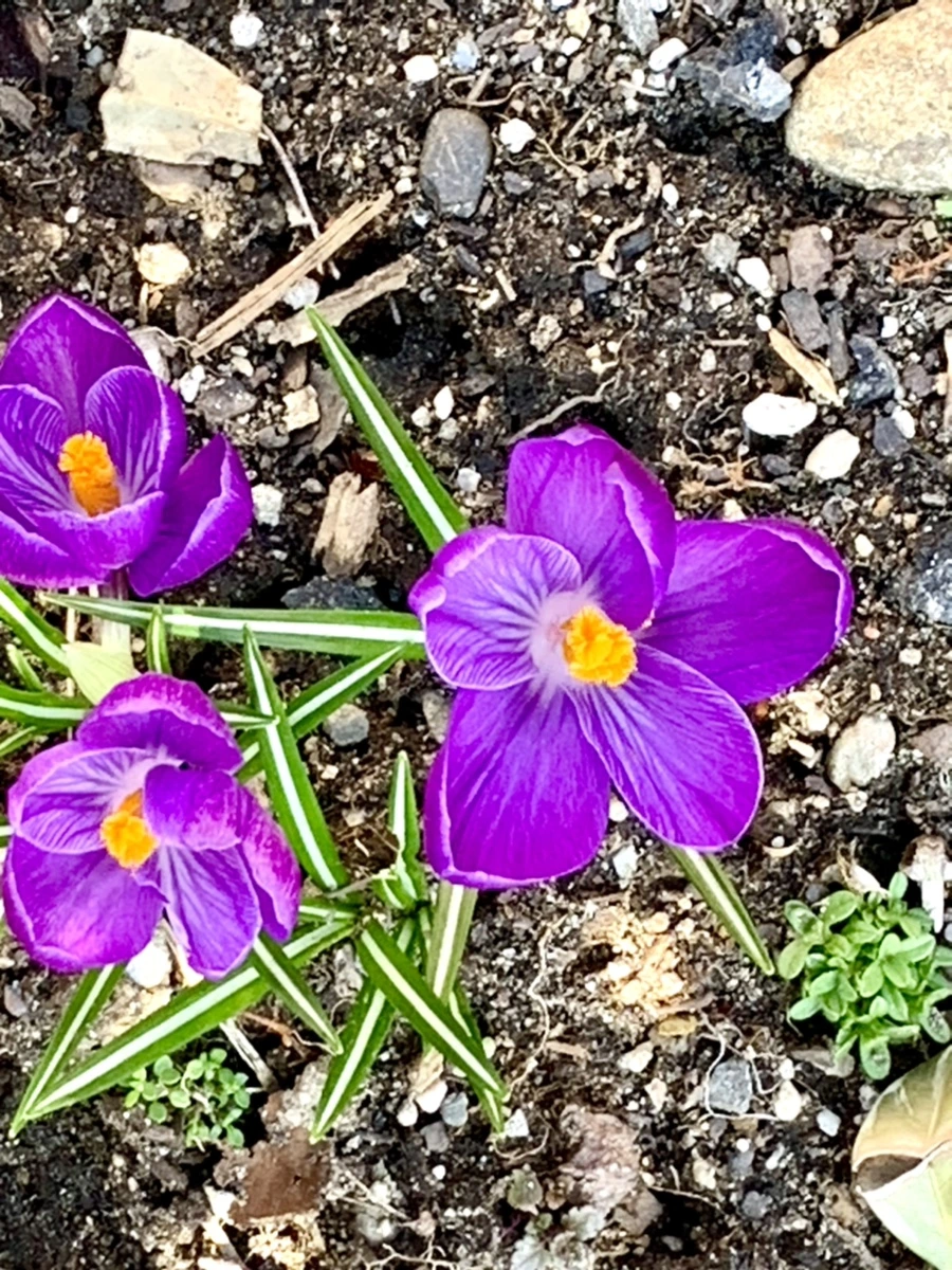 IMG_3133.jpg?type=w966