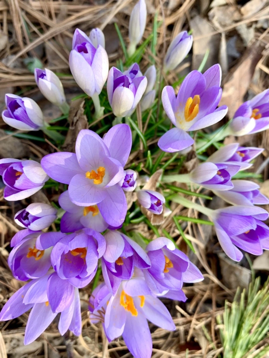 IMG_0129.jpg?type=w966