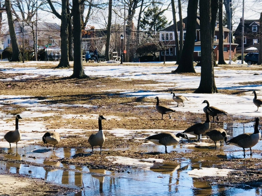 IMG_4988.jpg?type=w966