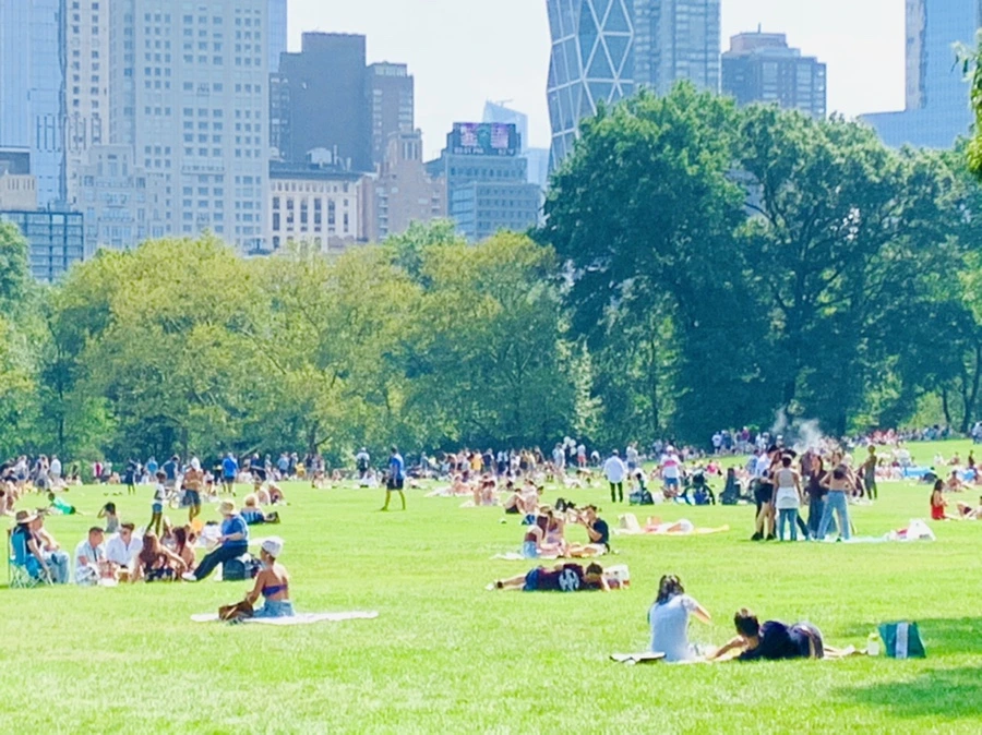 IMG_0613.jpg?type=w966