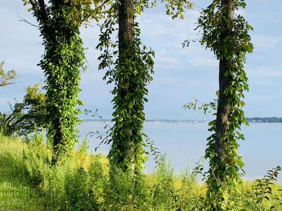 IMG_7834.jpg?type=w966