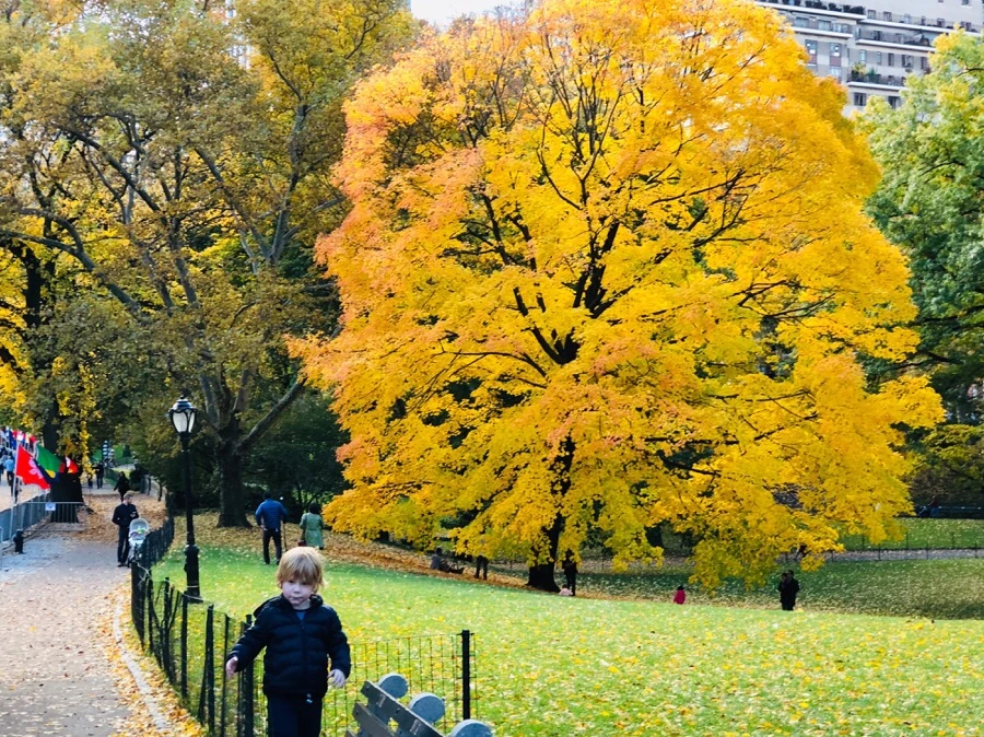 IMG_7347.jpg?type=w966