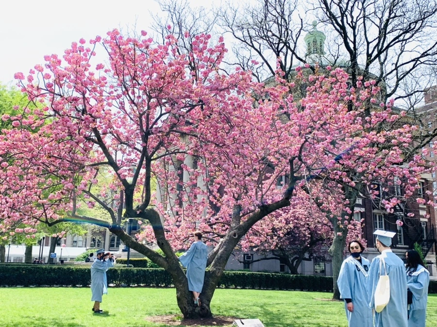 IMG_5089.jpg?type=w966