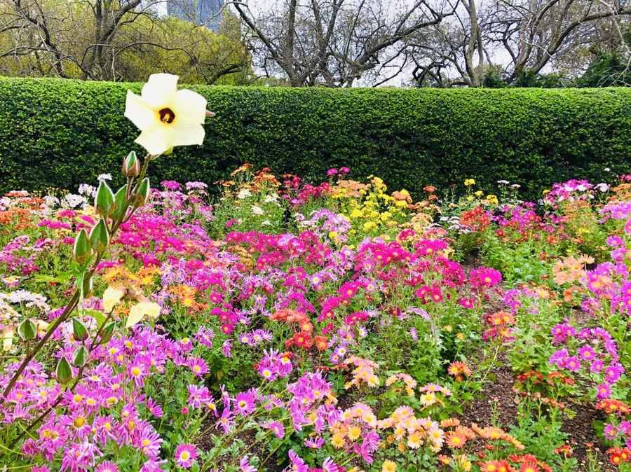 IMG_2495.jpg?type=w966