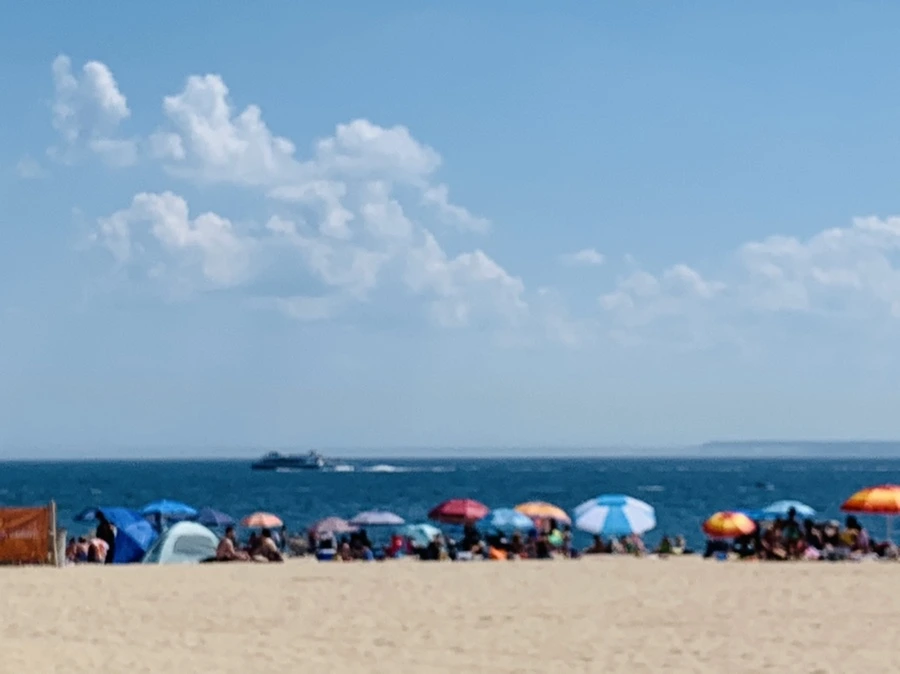 IMG_8840.jpg?type=w966