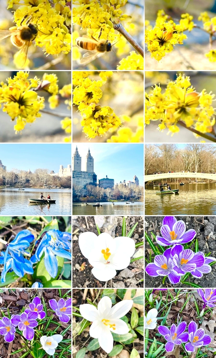 IMG_6048.jpg?type=w966