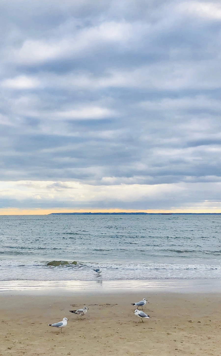 IMG_3106.jpg?type=w966