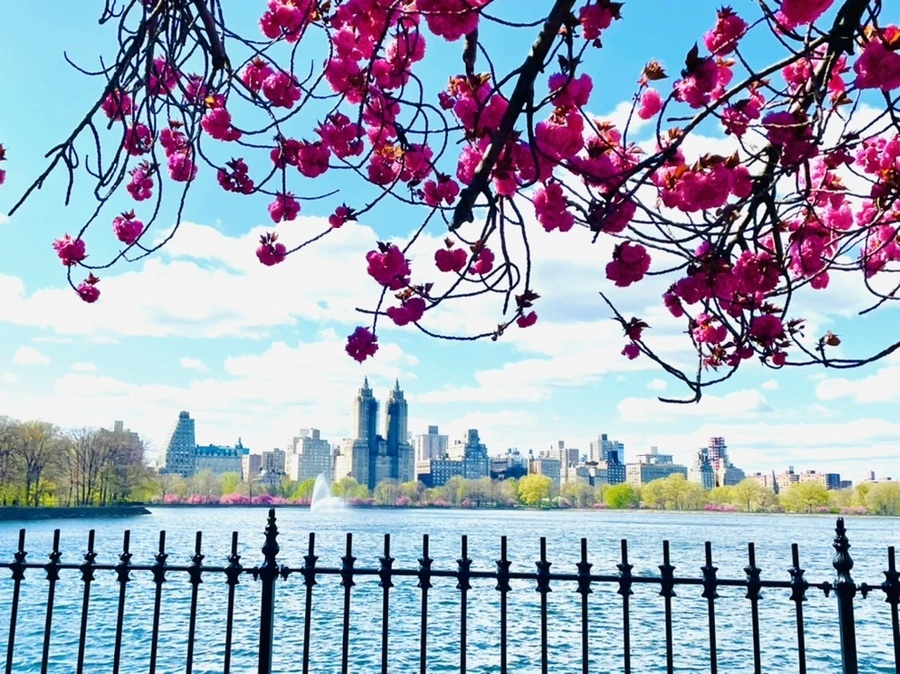 IMG_2761.jpg?type=w966