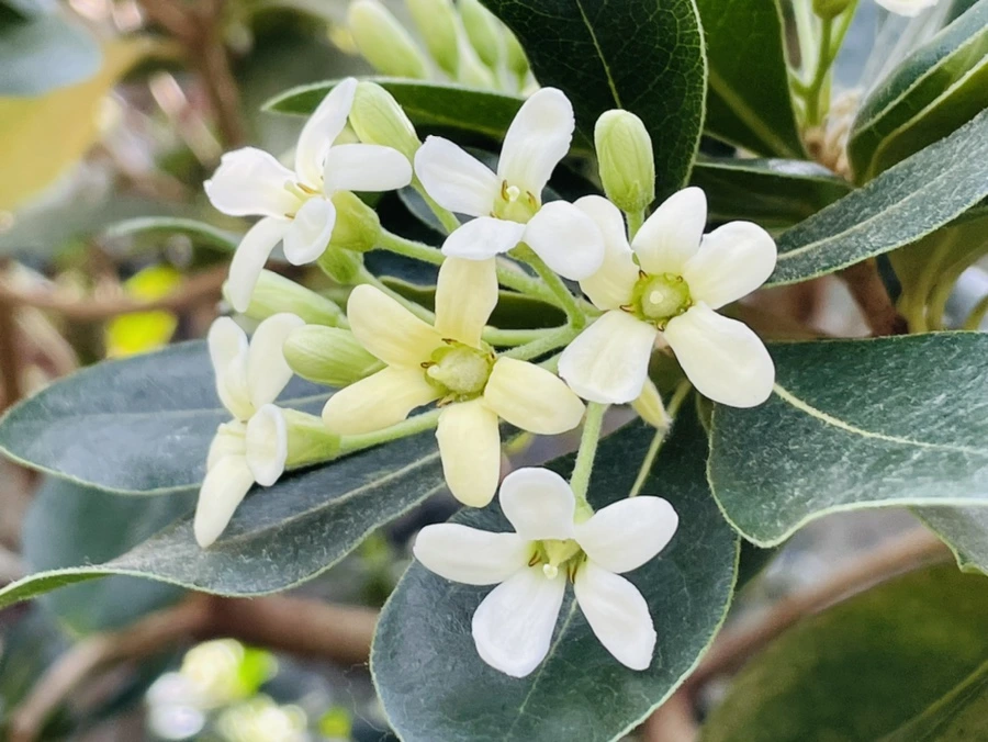 IMG_5235.jpg?type=w966