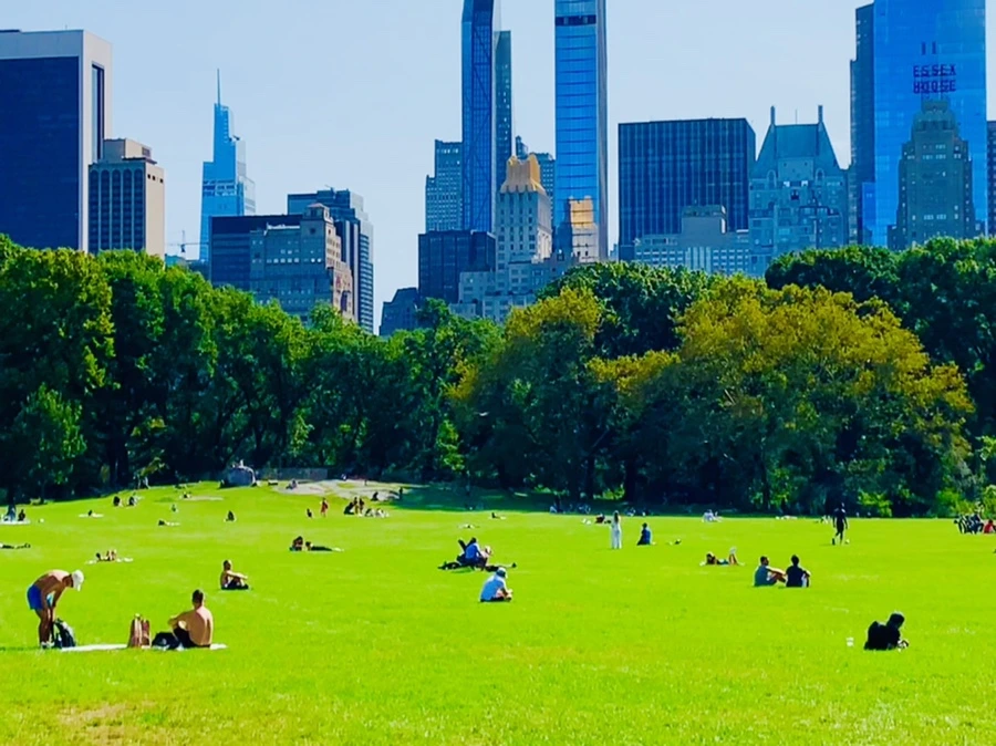 IMG_9693.jpg?type=w966