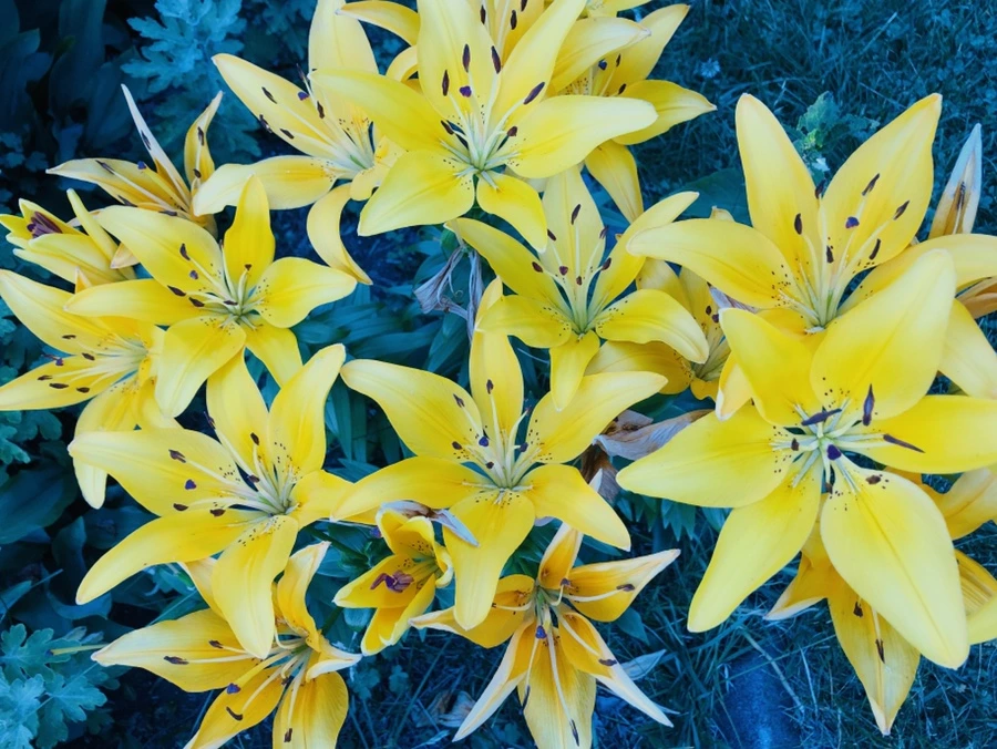 IMG_9389.jpg?type=w966