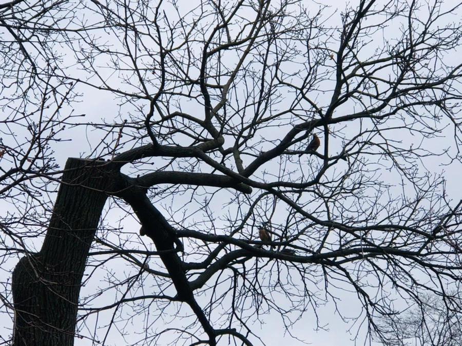 IMG_6365.jpg?type=w966