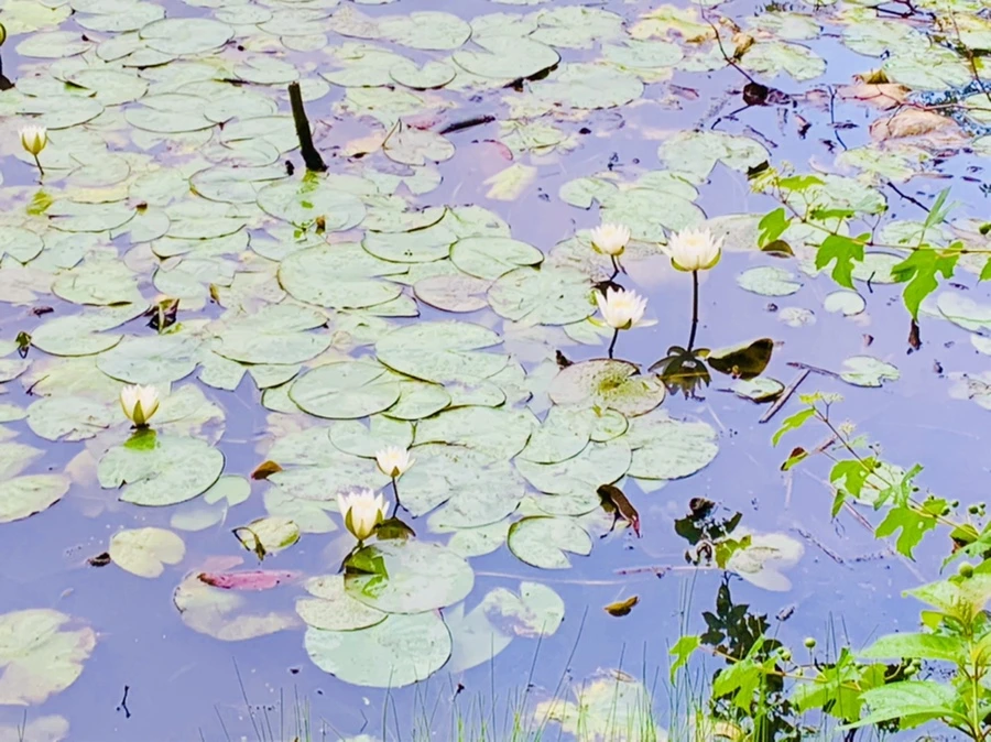 IMG_7777.jpg?type=w966