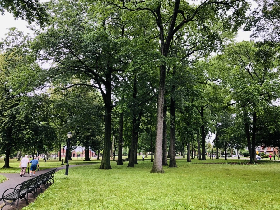 IMG_6201.jpg?type=w966