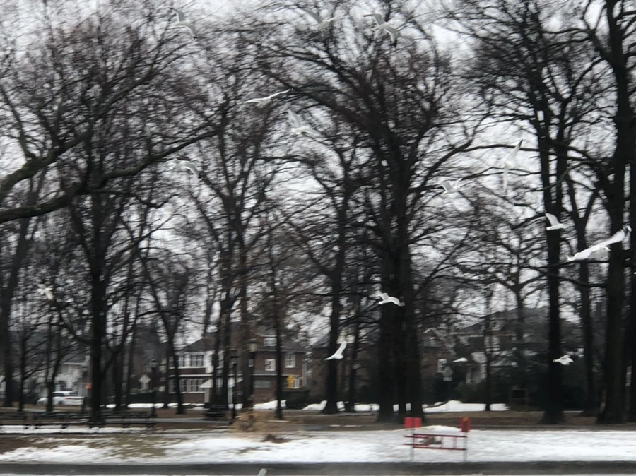 IMG_5738.jpg?type=w966