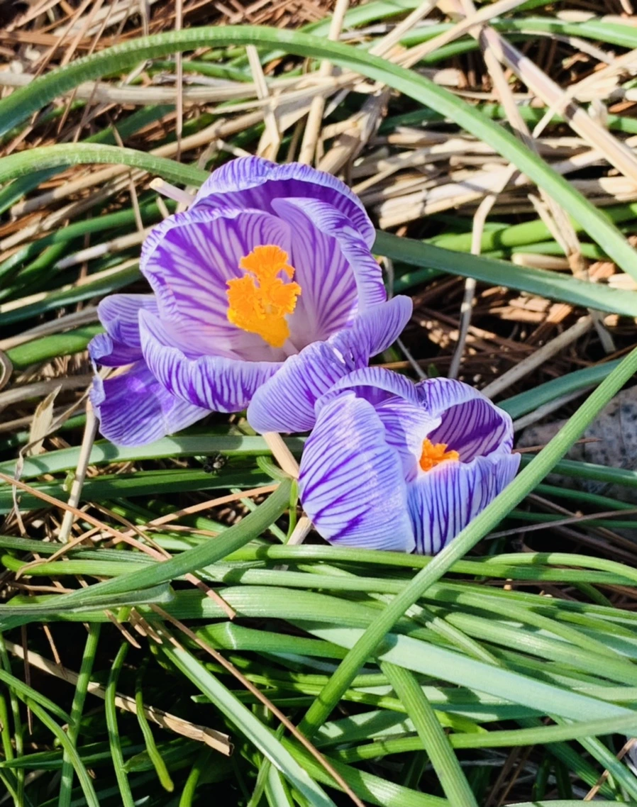 IMG_2980.jpg?type=w966