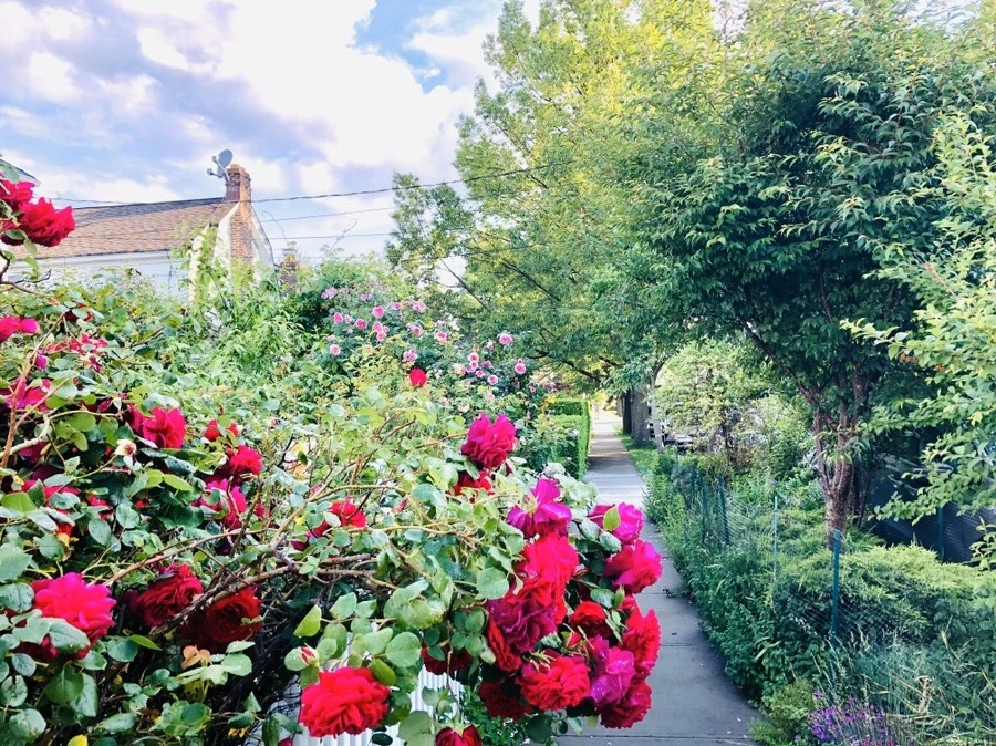 FMbi9lrI7ZRJnQZZAbJR7te2_ys