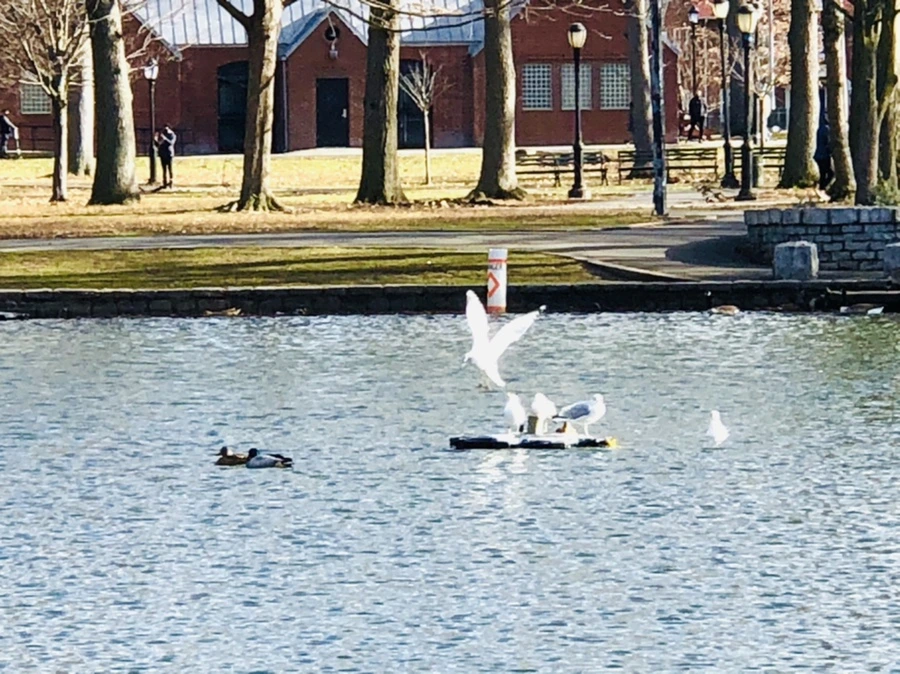 IMG_9241.jpg?type=w966