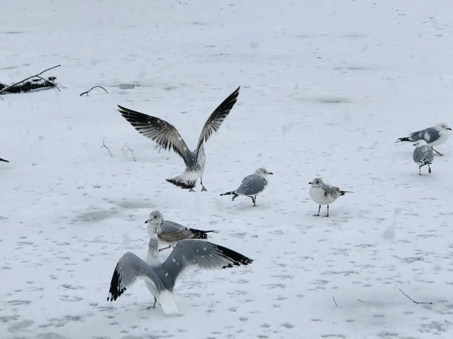 IMG_4199.jpg?type=w966