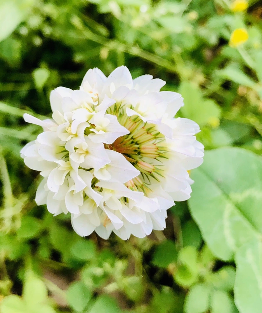 IMG_7945.jpg?type=w966