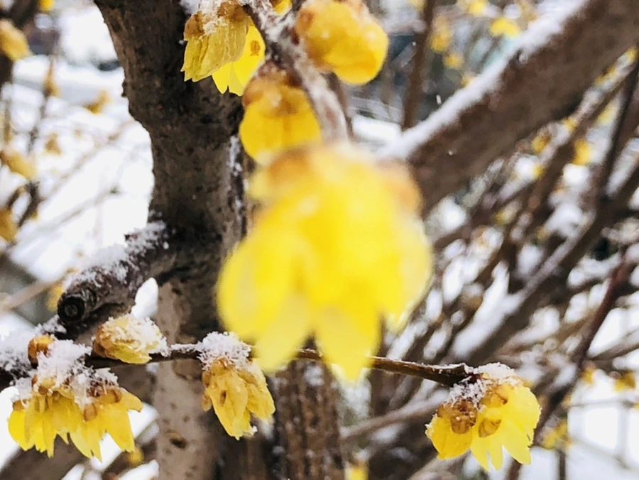 IMG_3526.jpg?type=w966