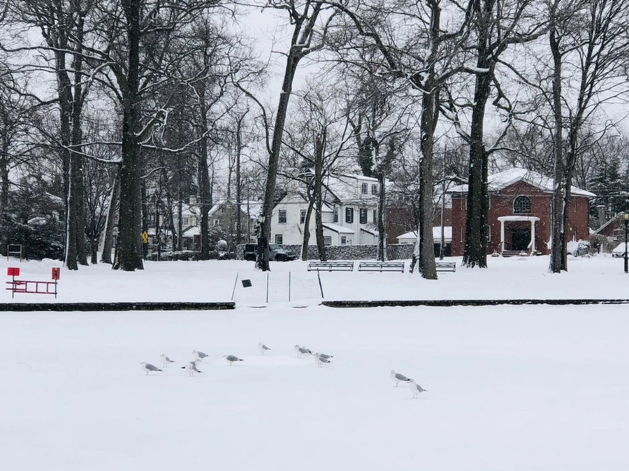 IMG_3635.jpg?type=w966