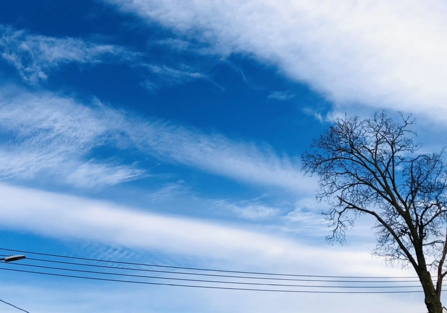 IMG_4817.jpg?type=w966