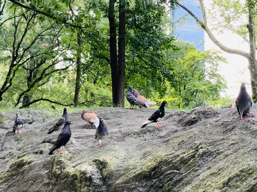 IMG_0563.jpg?type=w966