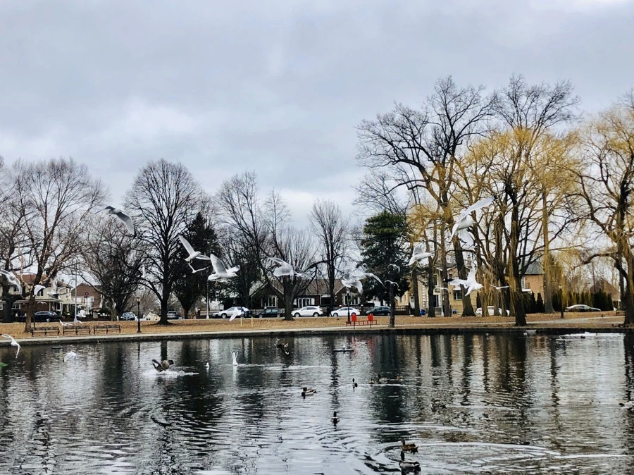 IMG_3472.jpg?type=w966