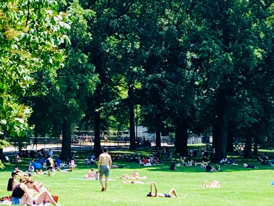 IMG_5395.jpg?type=w966