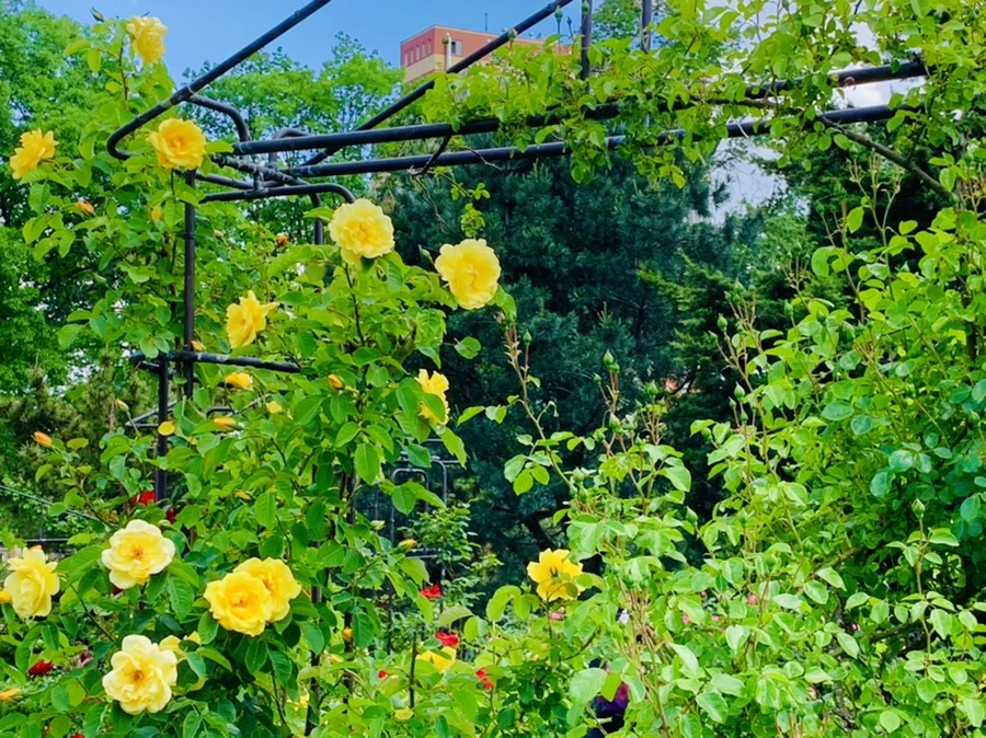 IMG_5830.jpg?type=w966