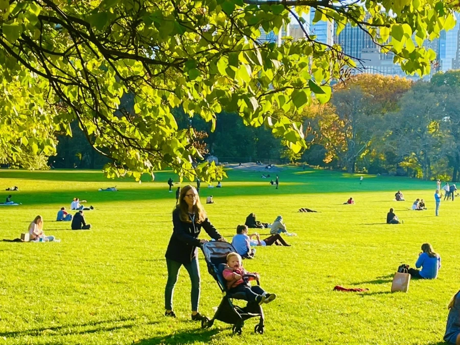 IMG_1385.jpg?type=w966