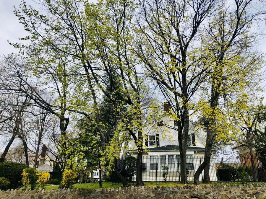 IMG_7063.jpg?type=w966