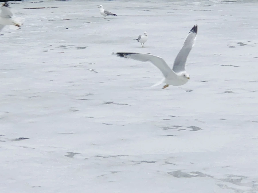 IMG_6352.jpg?type=w966