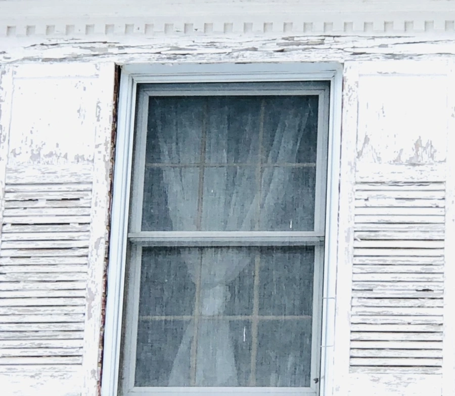 IMG_3421.jpg?type=w966