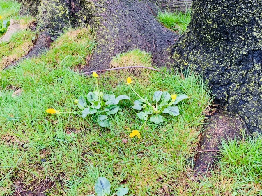 IMG_5327.jpg?type=w966