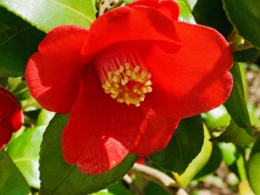 IMG_5724.jpg?type=w966